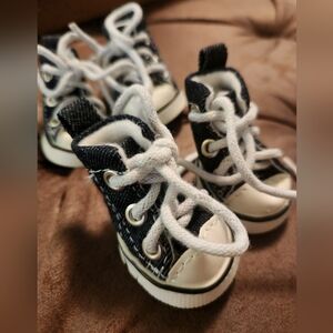Chuck Taylor Inspired Pet Shoes